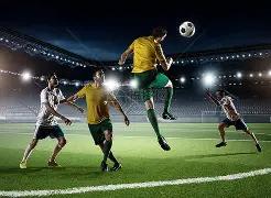 年粮食增长,攻略,核心四大要,OD体育,OD体育官网,OD体育H5官网